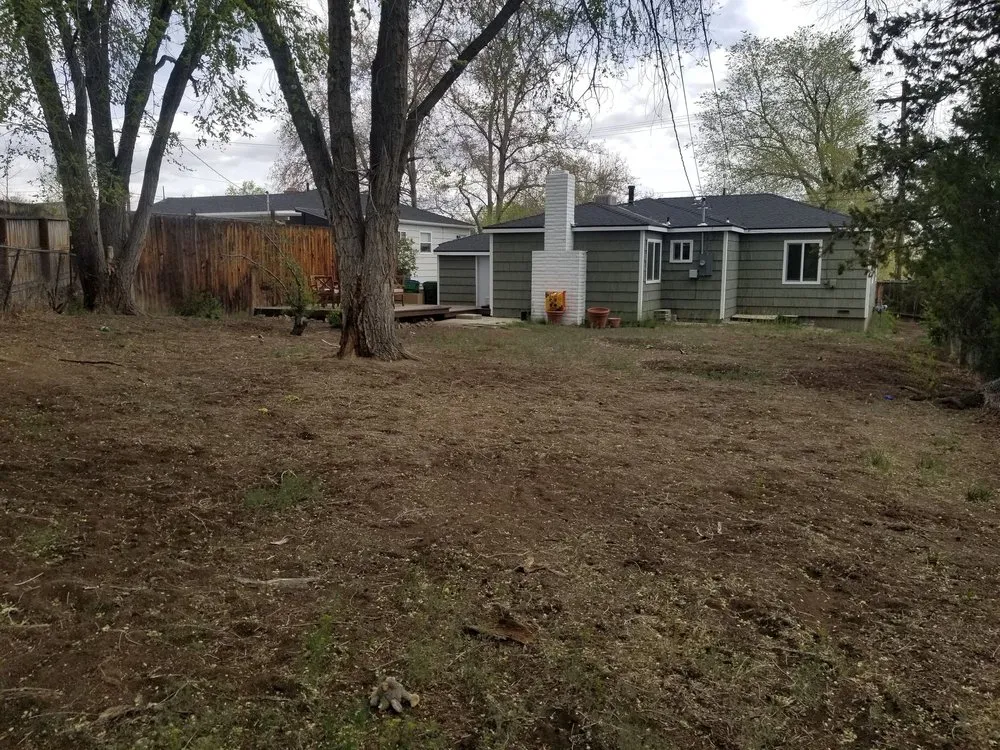 Top-rated landscape installation for outdoor upgrades across Carson City, NV - Precision Landscape & Earth Worx