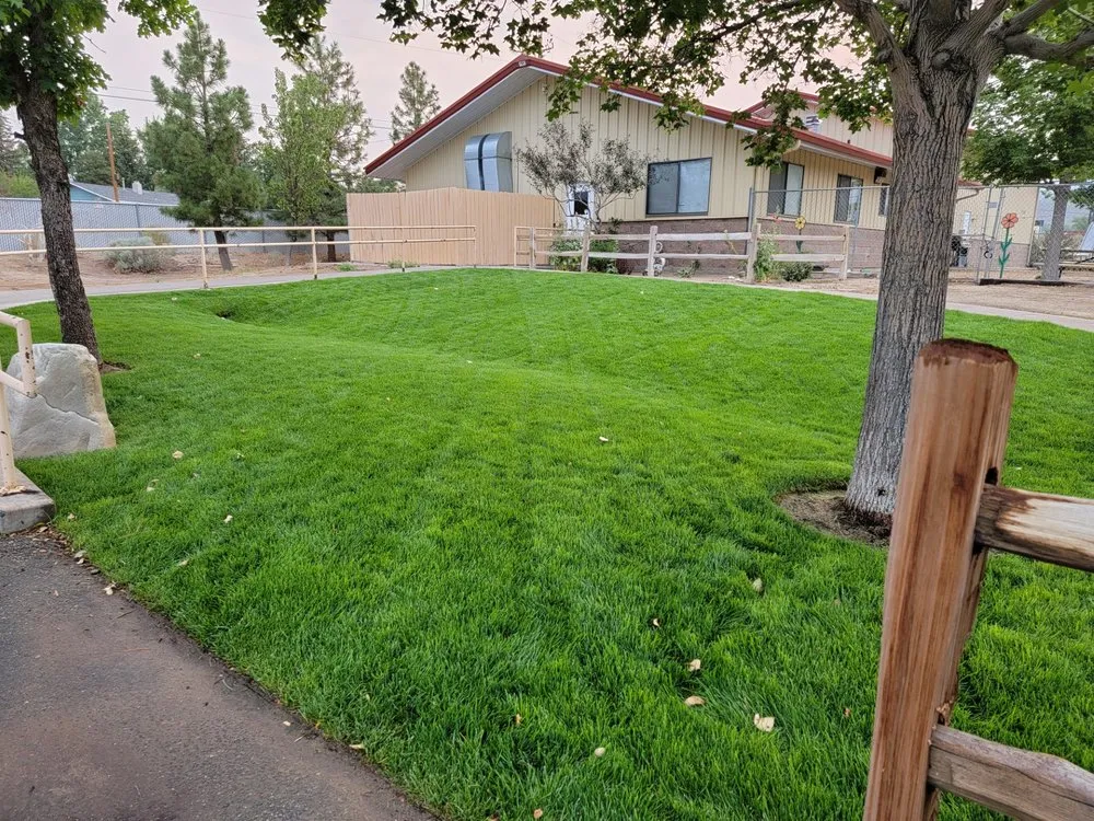 Affordable outdoor landscaping for outdoor upgrades across Carson City, NV - Precision Landscape & Earth Worx