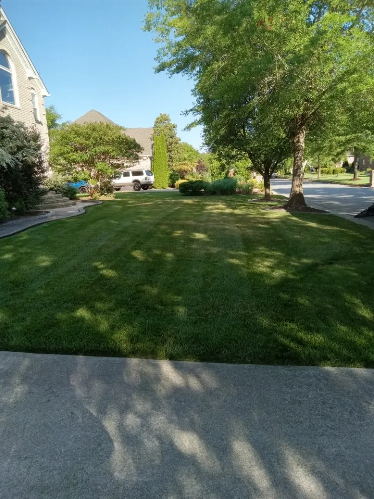 Custom lawn mowing service with custom design across Virginia Beach, VA - Precision Landscape and Home Improvement