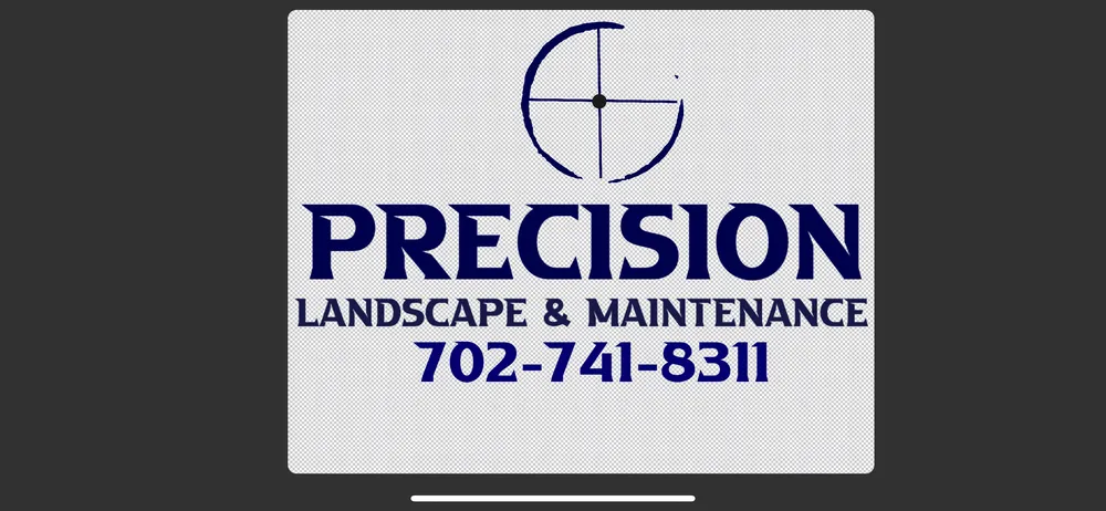 Professional yard cleanup service experts serving Surprise, AZ - Precision Landscape and Maintenance