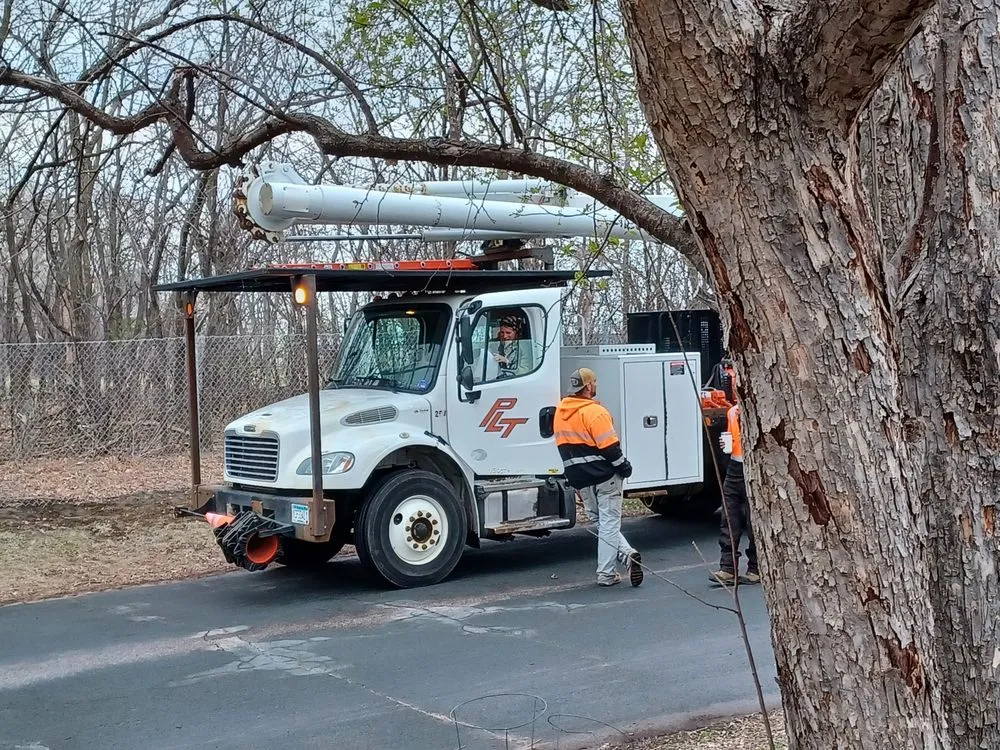 Local outdoor landscaping for homes across Little Canada, MN - Precision Landscape and Tree