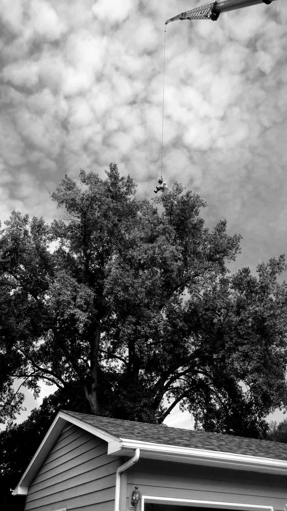 Custom lawn care service for outdoor upgrades in Little Canada, MN by Precision Landscape and Tree