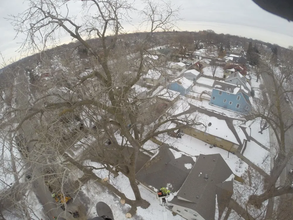 Top-rated lawn mowing service near you in Little Canada, MN by Precision Landscape and Tree