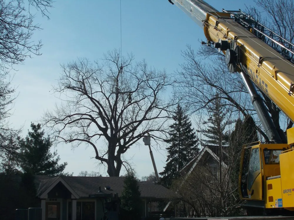 Affordable landscape installation for homes in Little Canada, MN by Precision Landscape and Tree