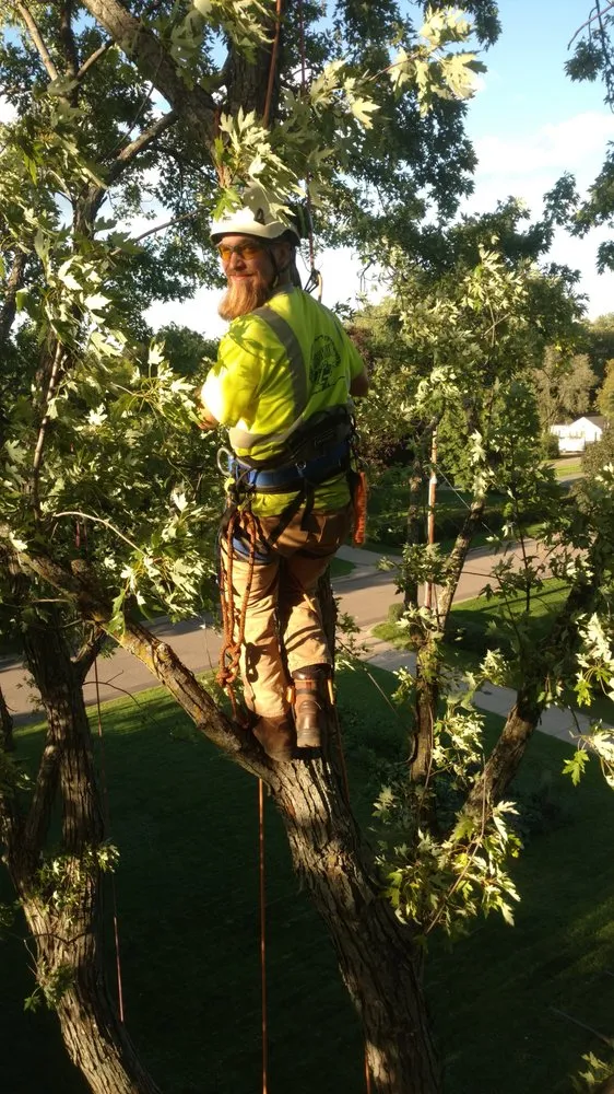 Custom landscape design for beautiful yards across Little Canada, MN - Precision Landscape and Tree