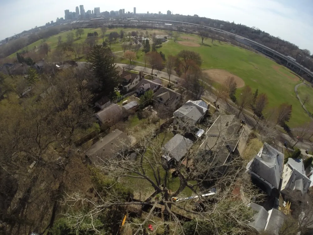 Trusted yard cleanup service experts serving Little Canada, MN - Precision Landscape and Tree