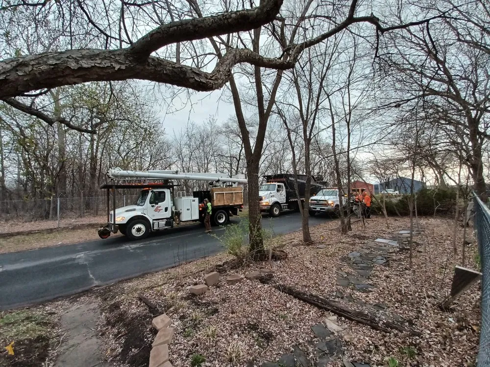 Reliable yard maintenance in Little Canada, MN - Precision Landscape and Tree