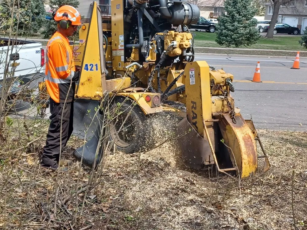 Local landscape design for year-round maintenance in Little Canada, MN by Precision Landscape and Tree