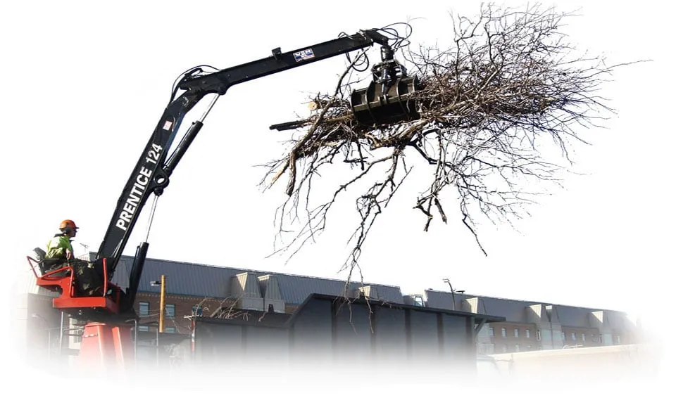 Local residential landscaping for homes across Little Canada, MN - Precision Landscape and Tree