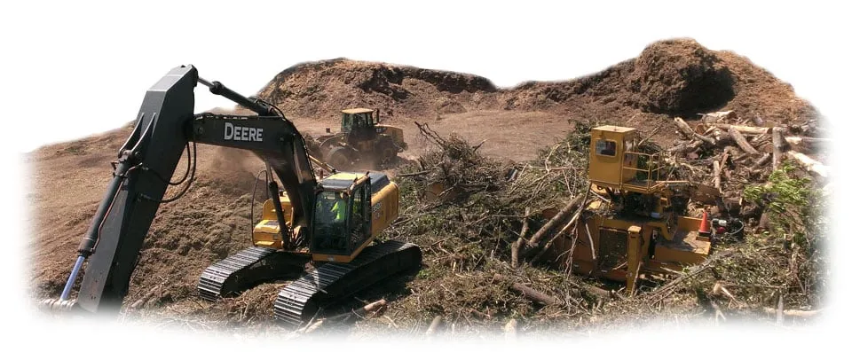 Affordable yard maintenance in Little Canada, MN - Precision Landscape and Tree