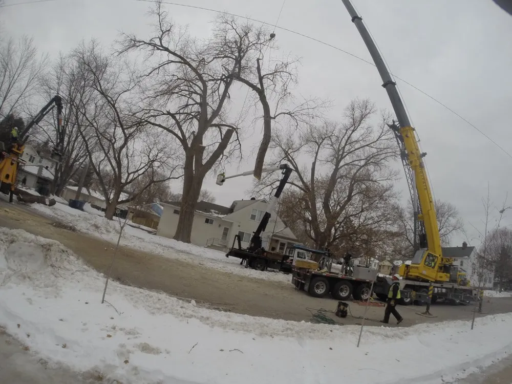 Reliable yard cleanup service near you in Little Canada, MN by Precision Landscape and Tree