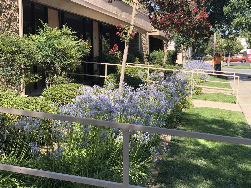 Top-rated lawn mowing service in Fresno, CA by Precision Landscape