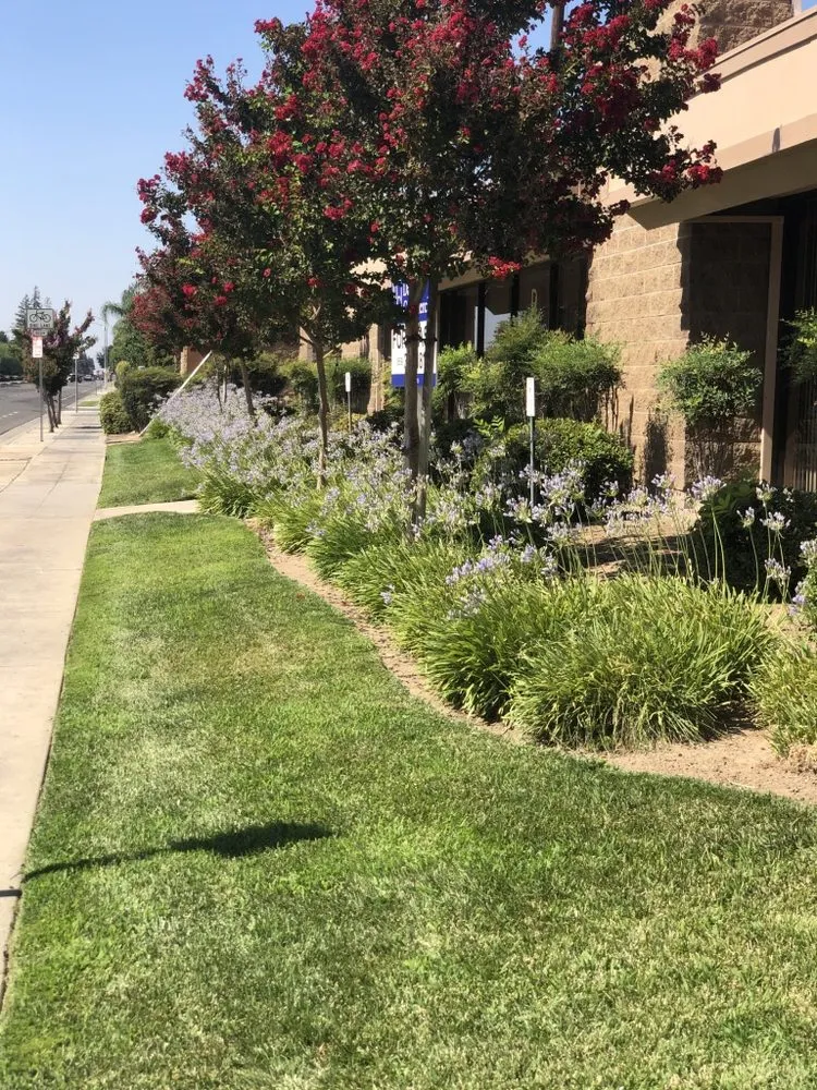 Local outdoor landscaping in Fresno, CA by Precision Landscape
