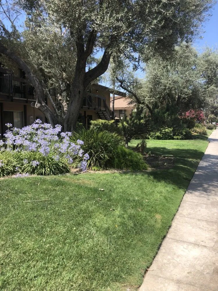 Custom garden landscaping experts serving Fresno, CA - Precision Landscape