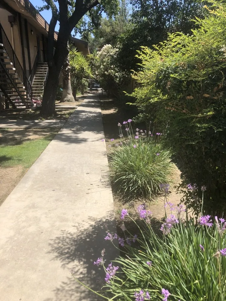 Affordable lawn care service for residential properties across Fresno, CA - Precision Landscape