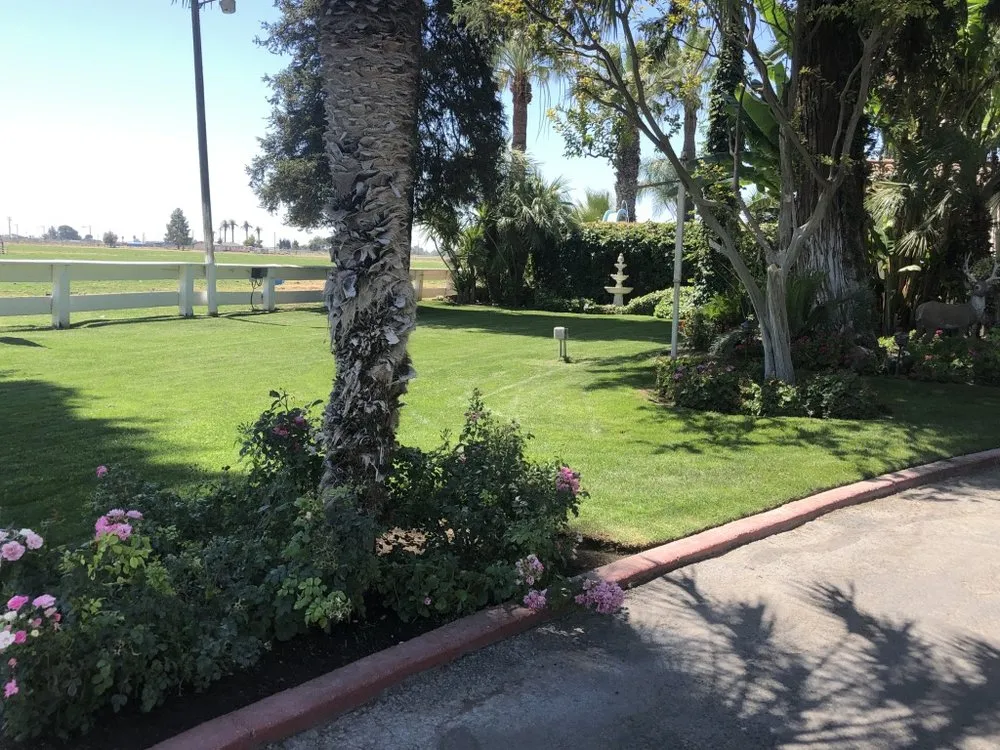 Affordable lawn care service for year-round maintenance in Fresno, CA by Precision Landscape