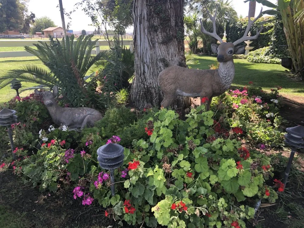 Top-rated outdoor landscaping in Fresno, CA - Precision Landscape