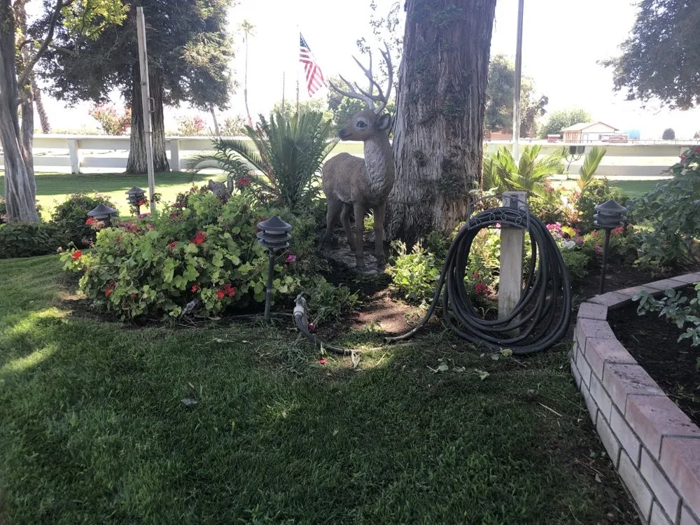 Custom residential landscaping experts serving Fresno, CA - Precision Landscape