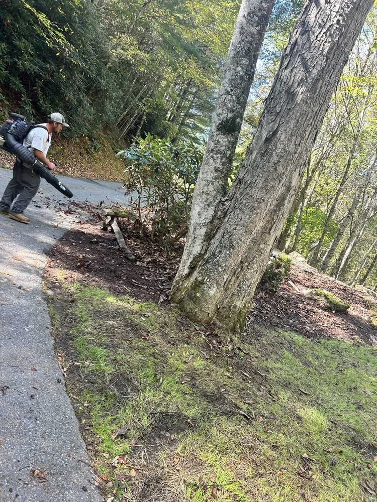 Expert landscape installation for beautiful yards in Banner Elk, NC by Precision Landscape Lawn and Home Maintenance