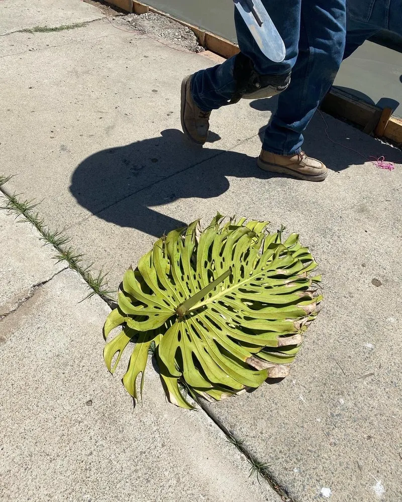 Expert landscape installation for residential properties in San Diego, CA by Precision Landscape Maintenance