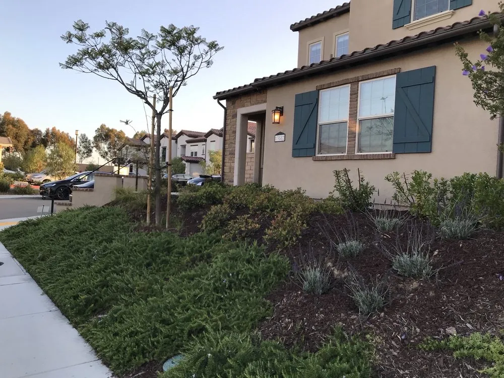 Expert lawn care service for residential properties across San Diego, CA - Precision Landscape Maintenance