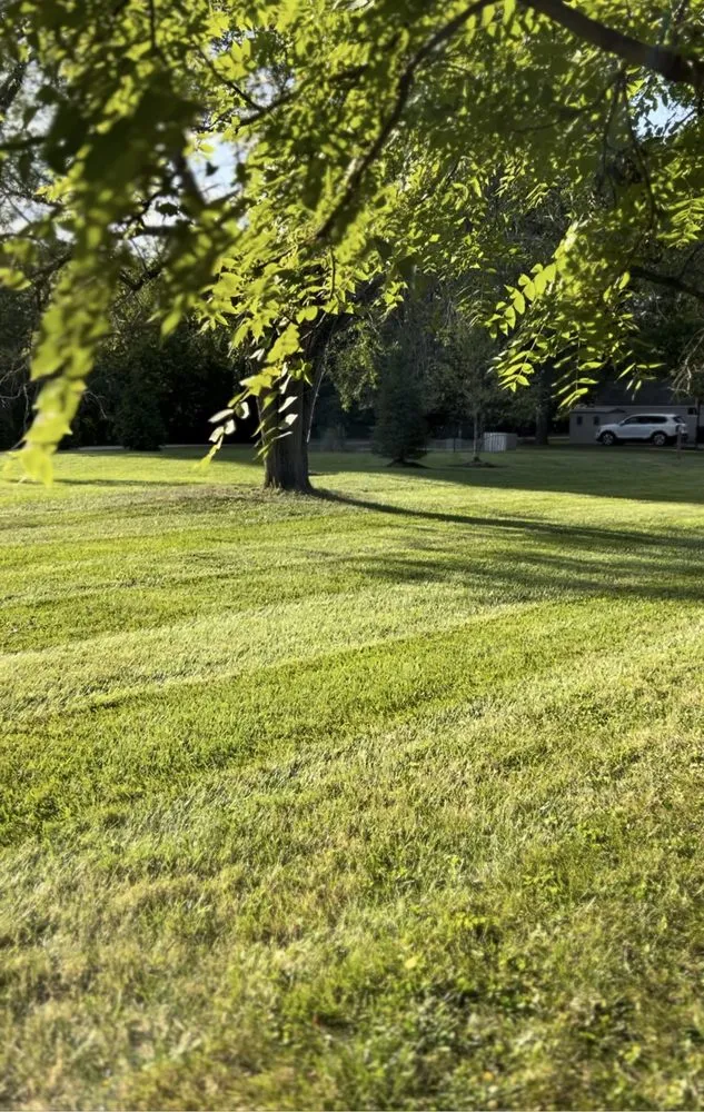 Affordable landscape design in Mason, OH - Precision Landscape