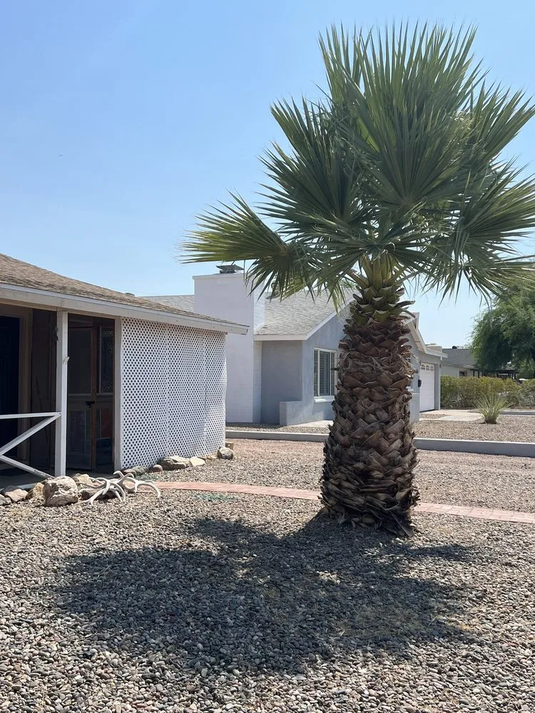 Local outdoor landscaping for year-round maintenance across Mesa, AZ - Precision Landscape