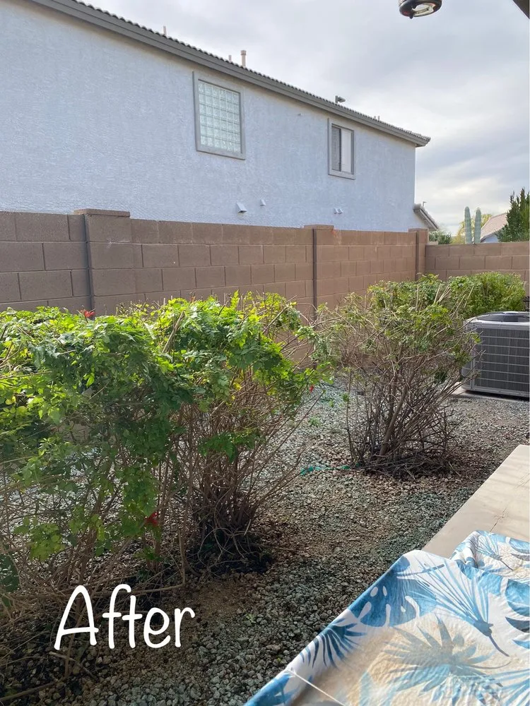 Affordable landscape design in Mesa, AZ by Precision Landscape