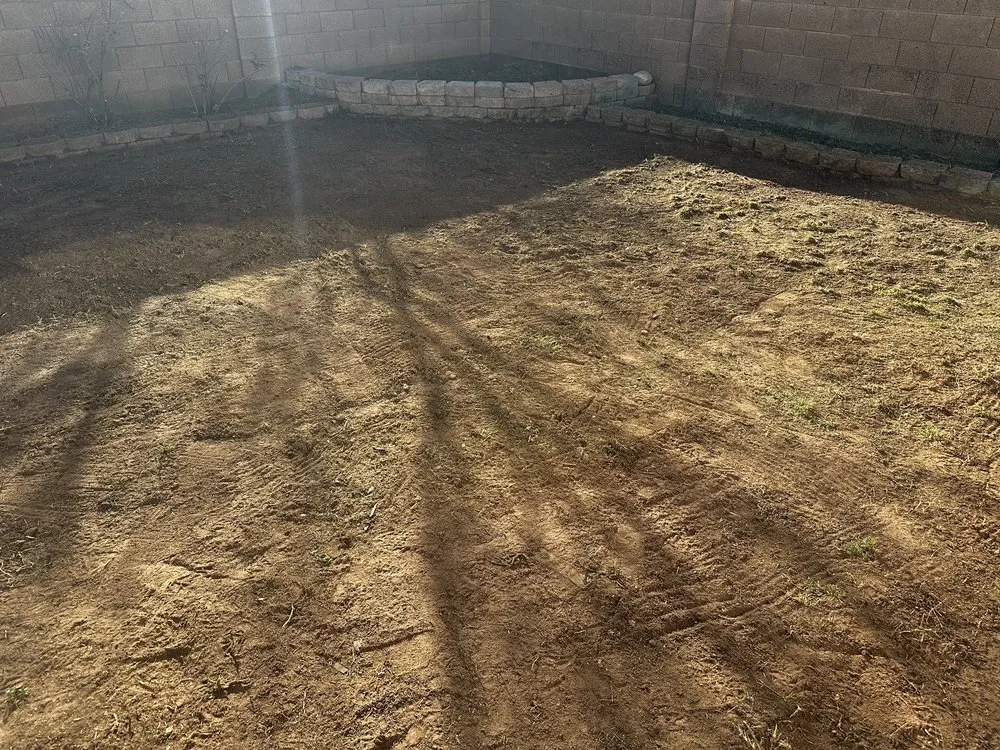 Trusted lawn care service experts serving Mesa, AZ - Precision Landscape