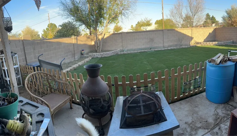 Trusted lawn mowing service for residential properties across Mesa, AZ - Precision Landscape