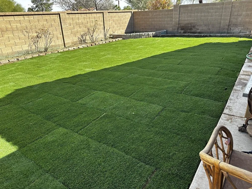 Local outdoor landscaping for residential properties in Mesa, AZ by Precision Landscape