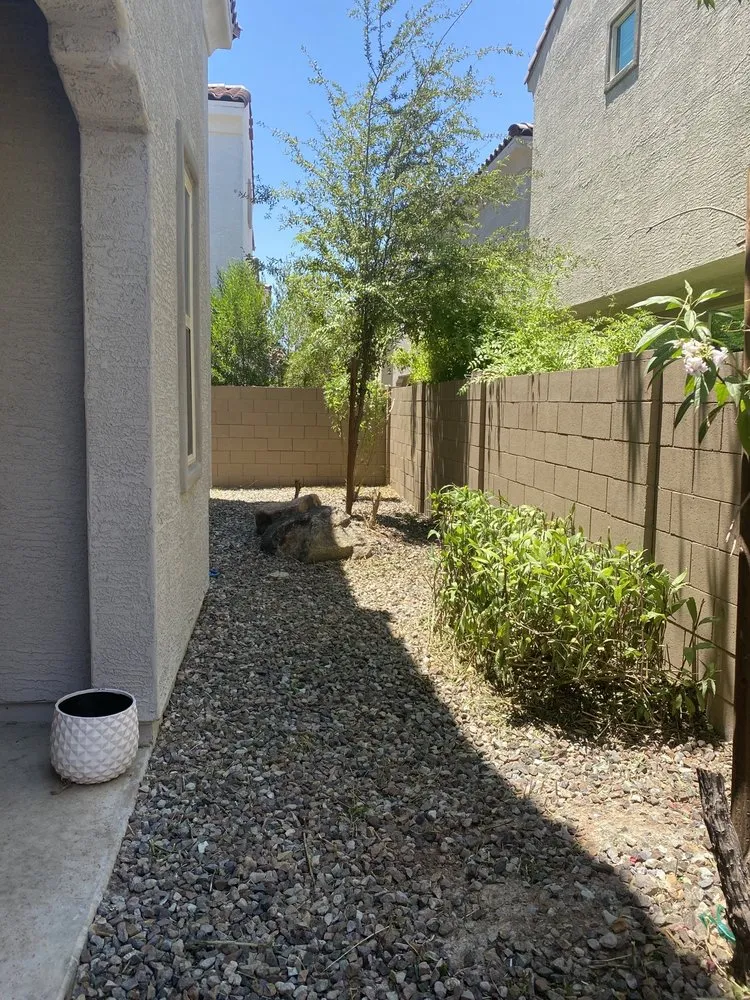 Local outdoor landscaping in Mesa, AZ by Precision Landscape