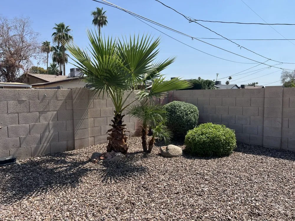Expert outdoor landscaping in Mesa, AZ by Precision Landscape