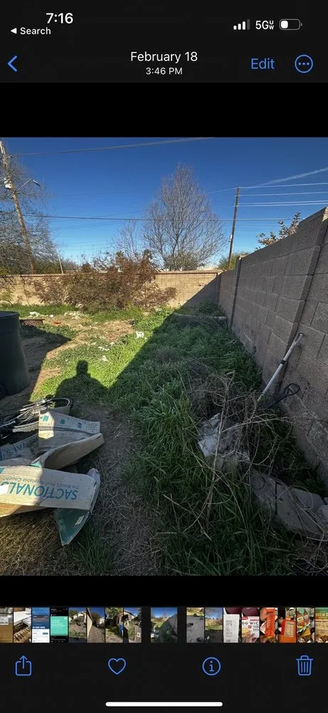 Expert yard cleanup service for residential properties across Mesa, AZ - Precision Landscape