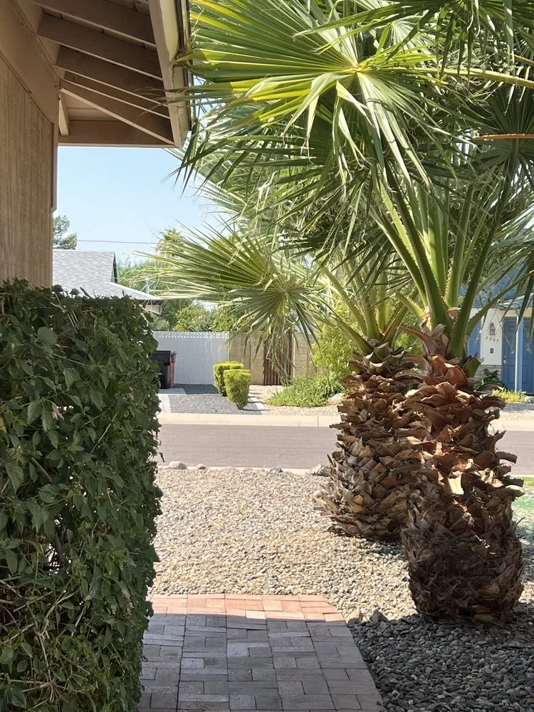 Expert lawn mowing service experts serving Mesa, AZ - Precision Landscape