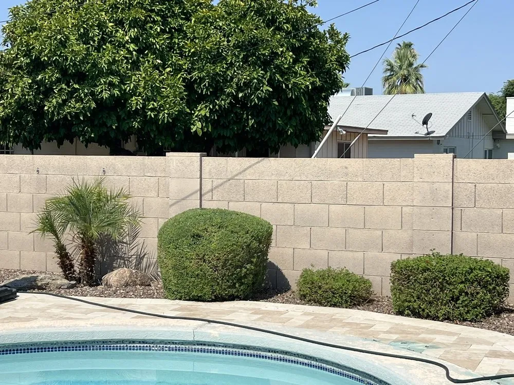 Reliable lawn care service in Mesa, AZ - Precision Landscape