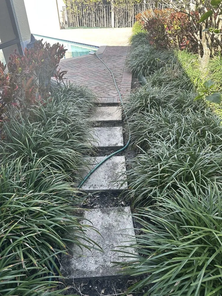 Affordable yard cleanup service experts serving North Palm Beach, FL - Precision Landscape