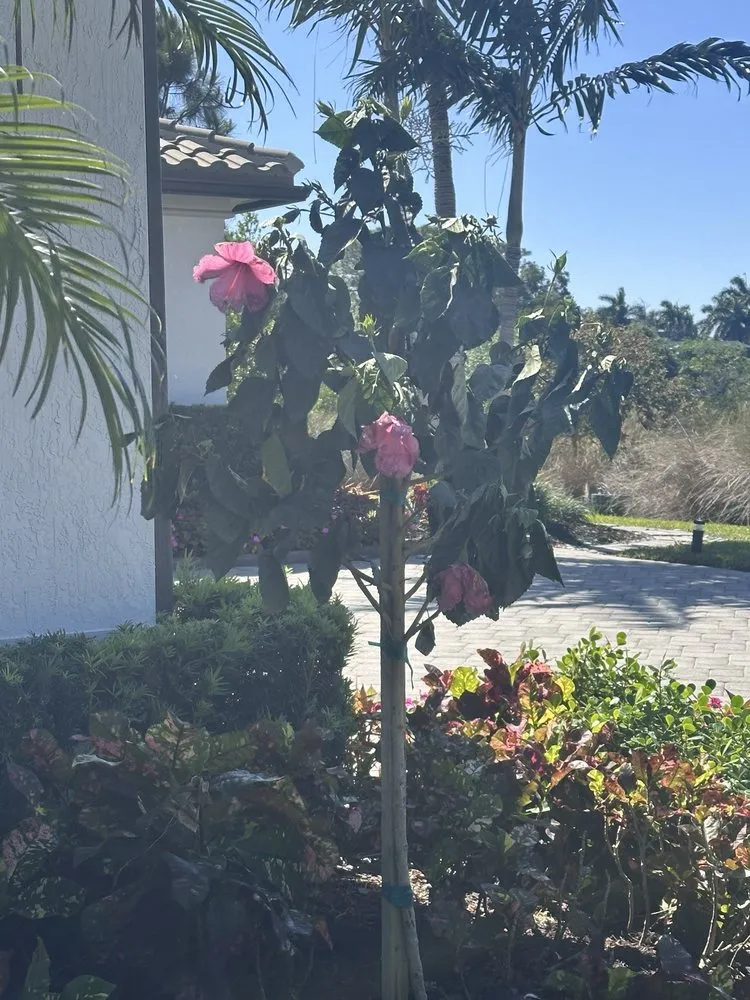 Expert garden landscaping for residential properties across North Palm Beach, FL - Precision Landscape