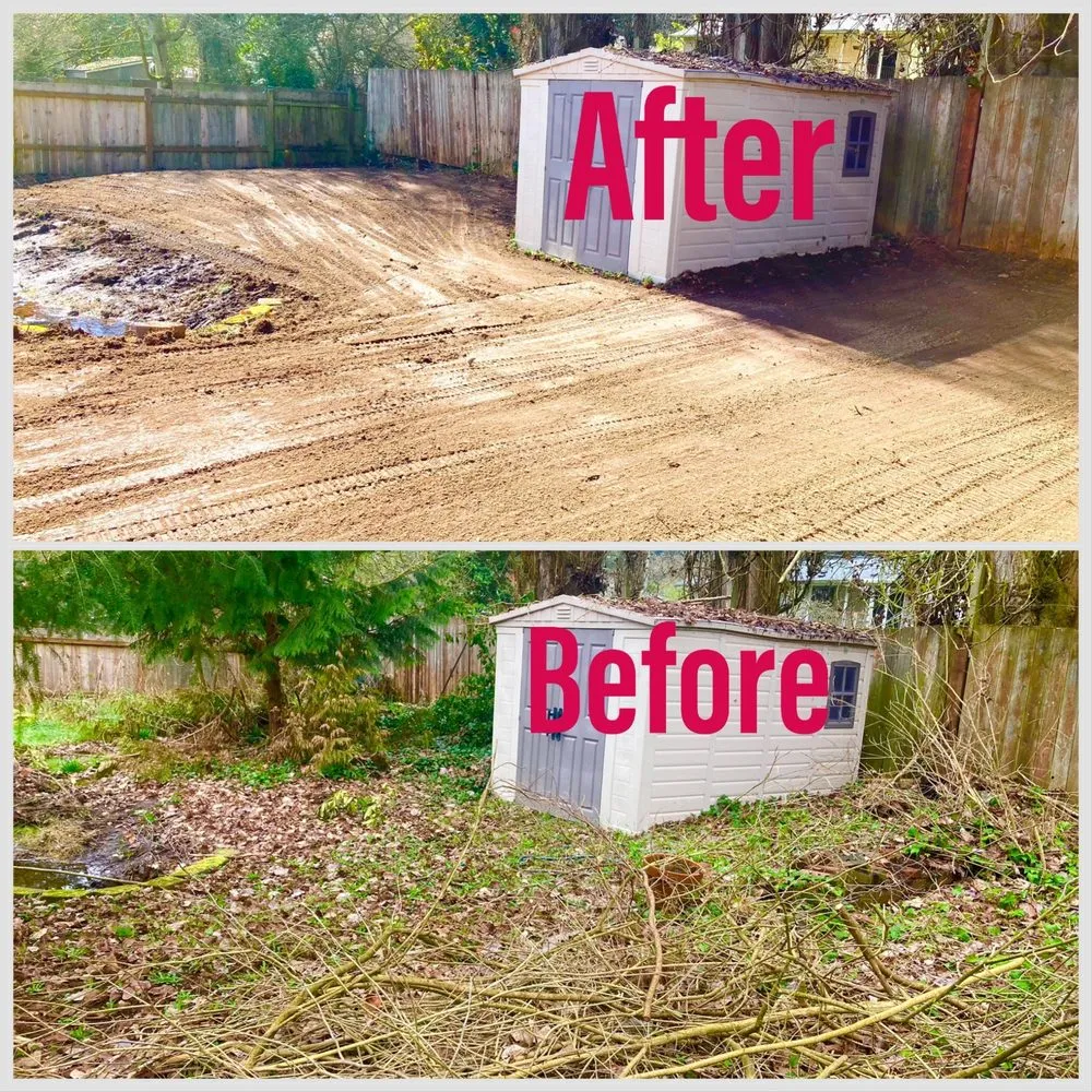 Affordable yard maintenance for year-round maintenance across Renton, WA - Precision Landscape