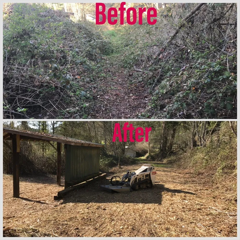 Top-rated yard maintenance for beautiful yards across Renton, WA - Precision Landscape