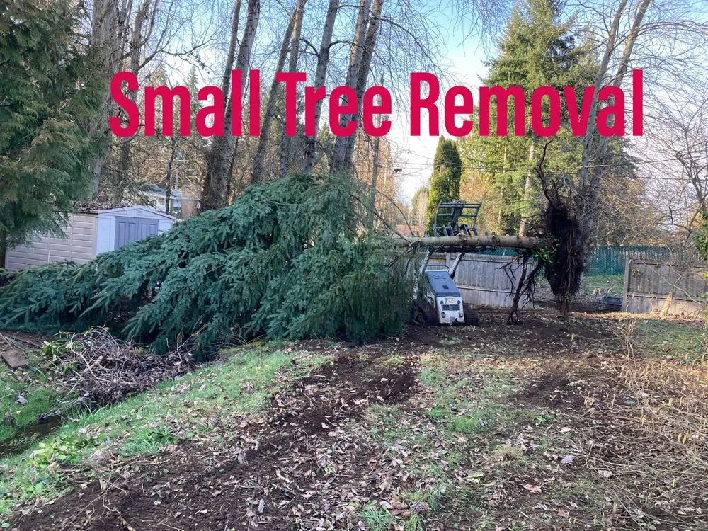 Professional landscape design in Renton, WA by Precision Landscape