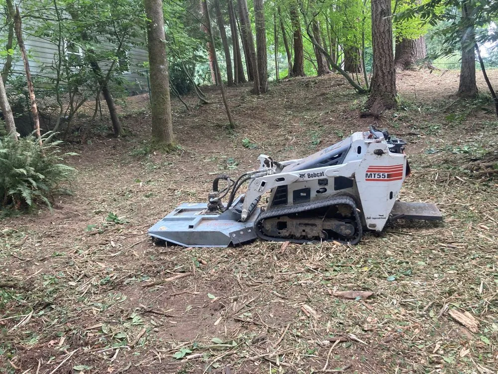 Expert landscaping services with custom design across Renton, WA - Precision Landscape