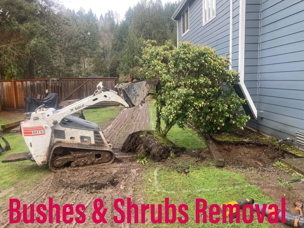 Professional landscaping services in Renton, WA - Precision Landscape