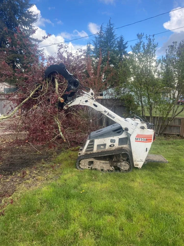 Reliable yard cleanup service in Renton, WA - Precision Landscape