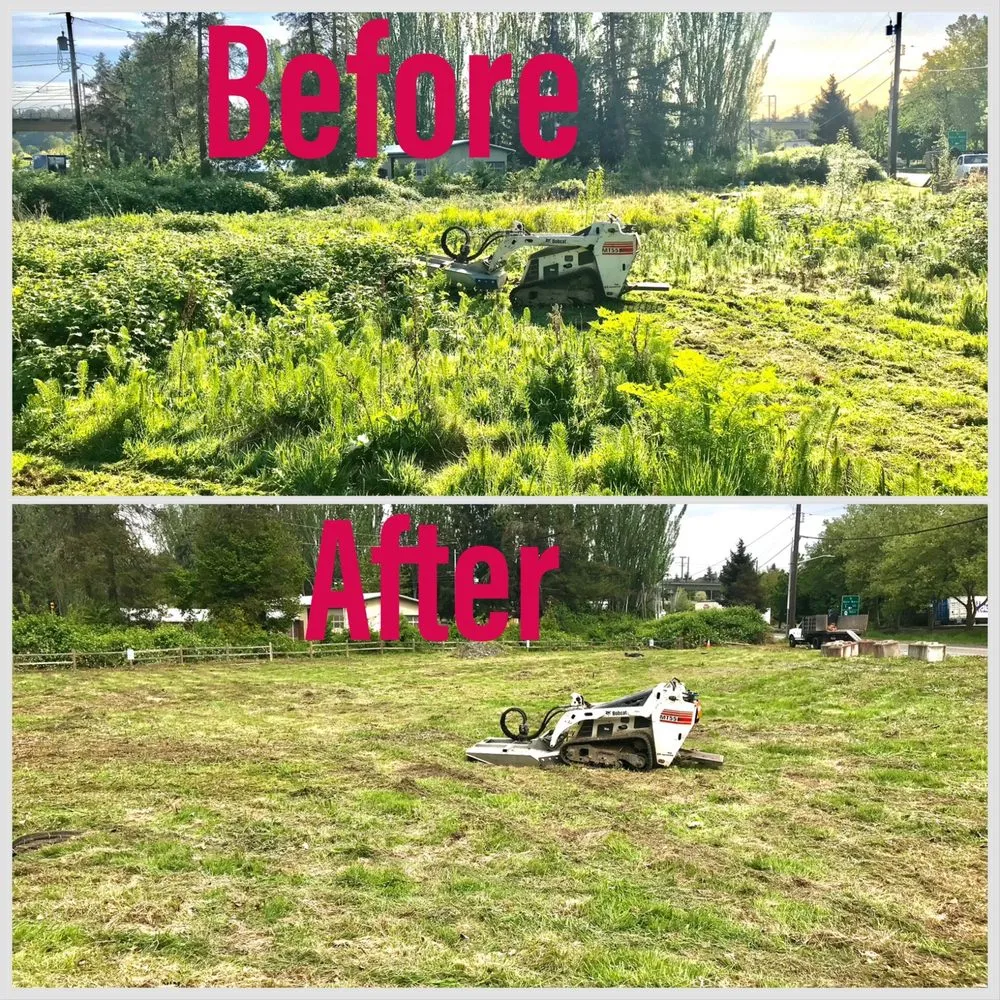 Trusted landscape design for beautiful yards across Renton, WA - Precision Landscape