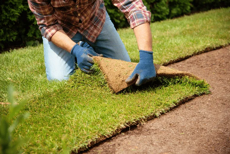 Expert garden landscaping experts serving Renton, WA - Precision Landscape