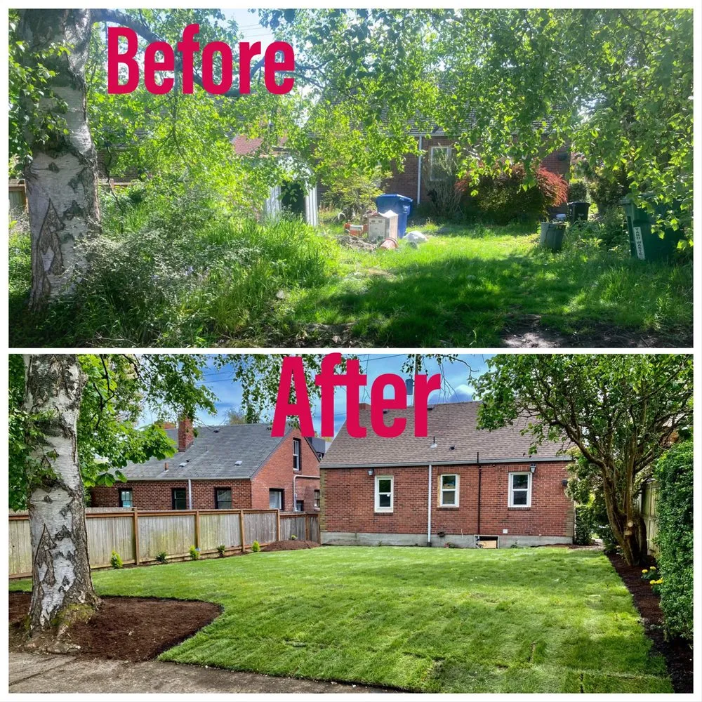 Expert yard cleanup service in Renton, WA by Precision Landscape