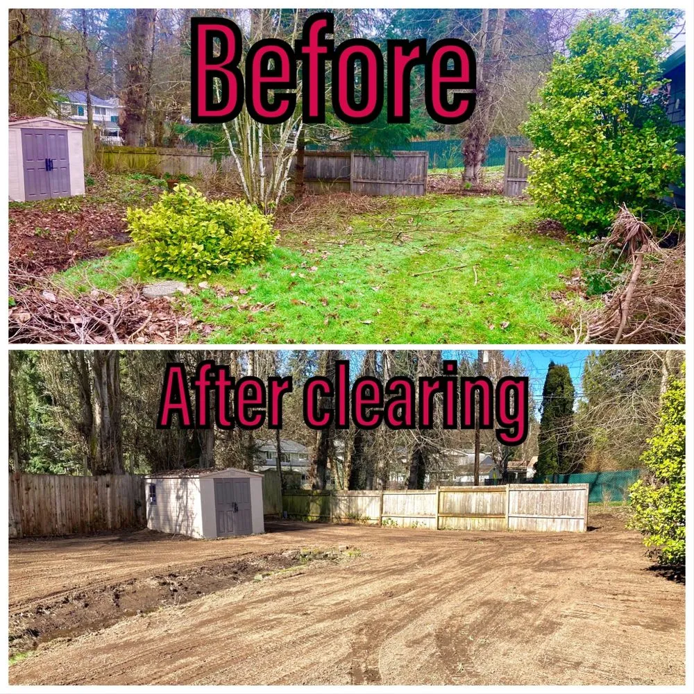 Top-rated yard cleanup service for homes across Renton, WA - Precision Landscape