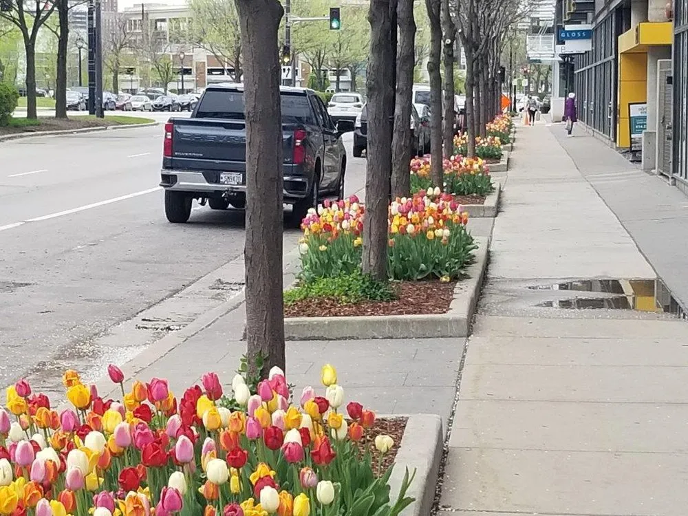 Expert yard maintenance in Milwaukee, WI - Precision Landscape Service