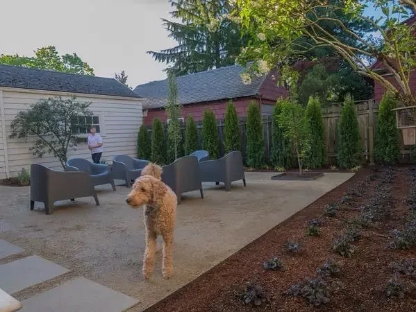 Expert yard maintenance experts serving Portland, OR - Precision Landscape Services Inc